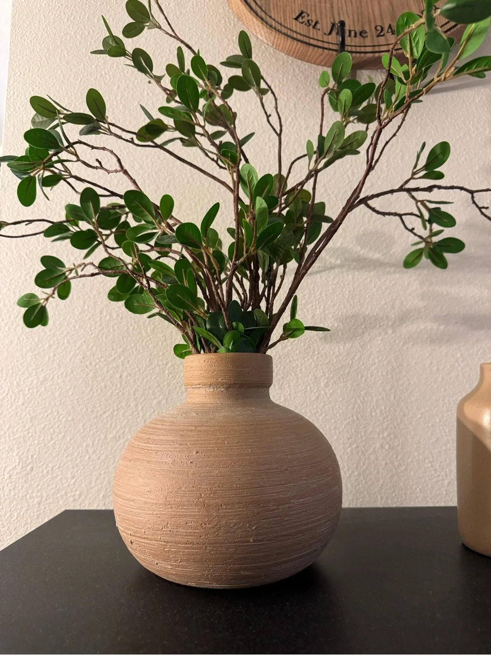 Terracotta Pot